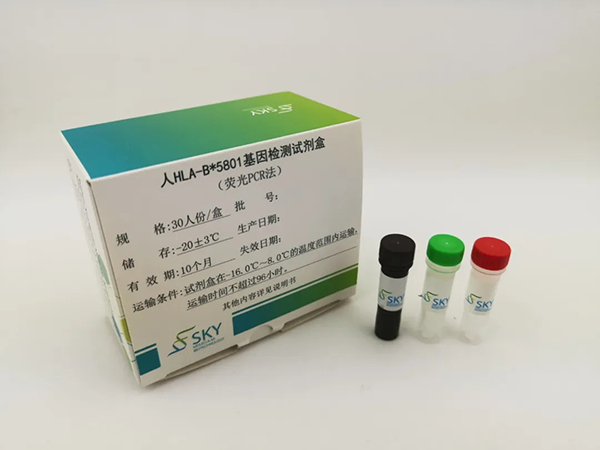 28圈(中国)官方网站