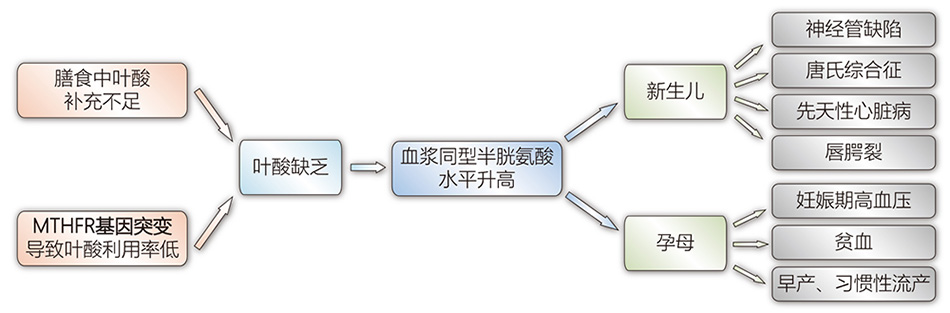 28圈(中国)官方网站