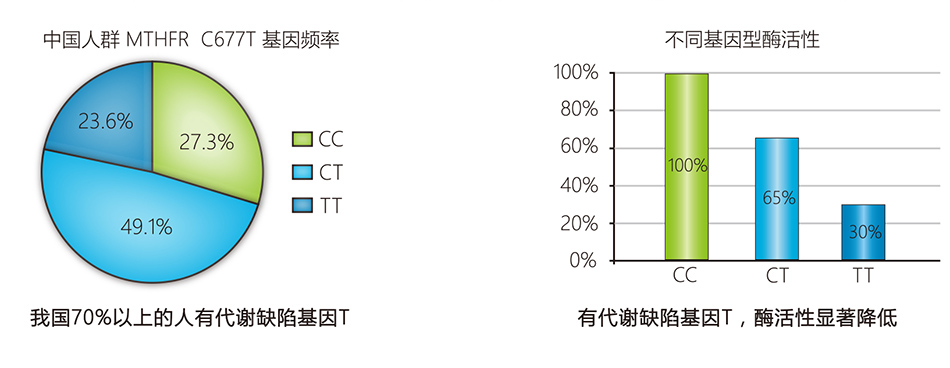 28圈(中国)官方网站