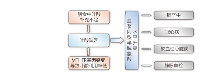 28圈(中国)官方网站