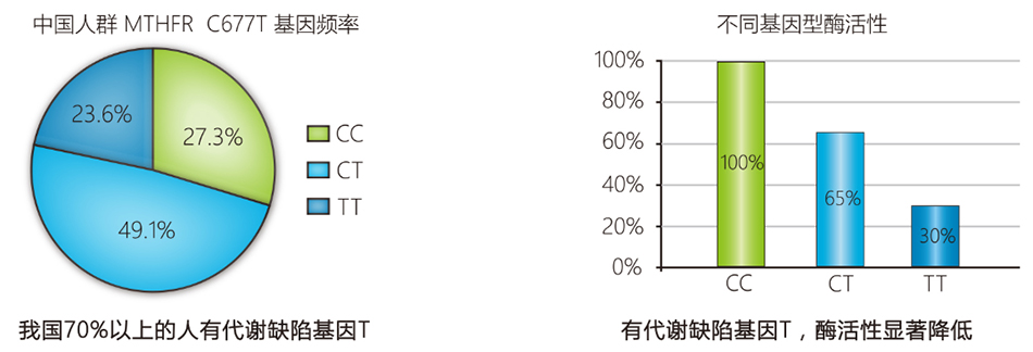 28圈(中国)官方网站