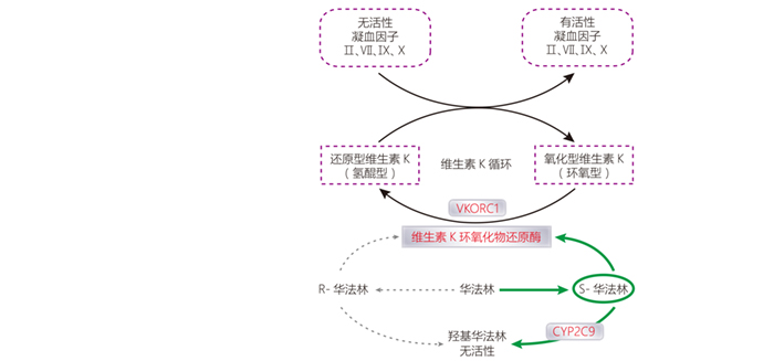 28圈(中国)官方网站