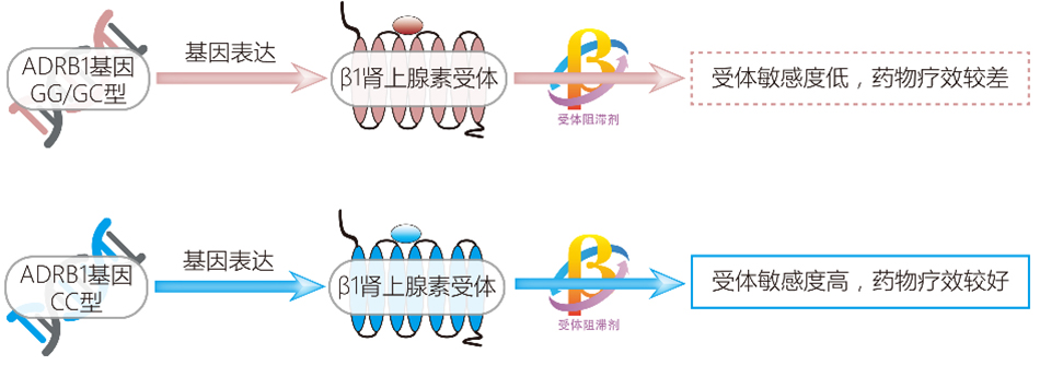 28圈(中国)官方网站