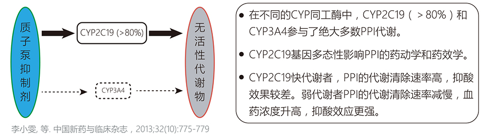 28圈(中国)官方网站