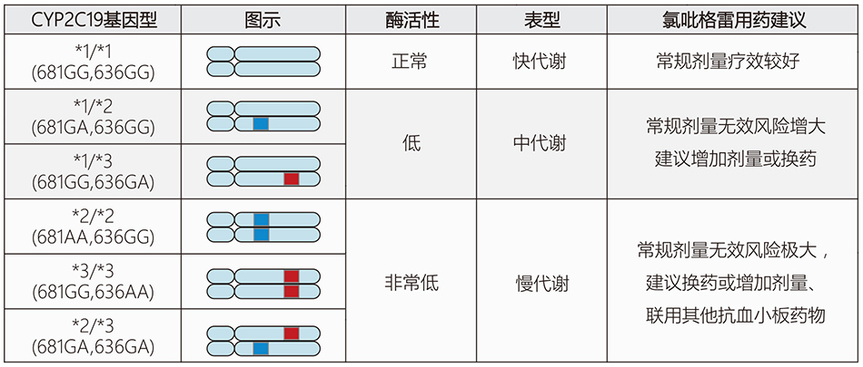 28圈(中国)官方网站