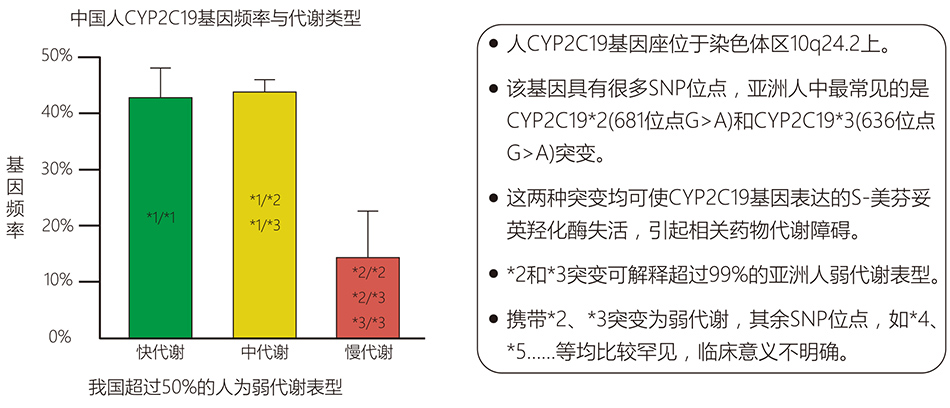 28圈(中国)官方网站
