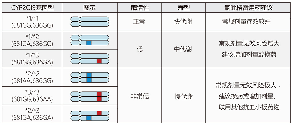 28圈(中国)官方网站